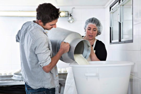Fabrication fromage